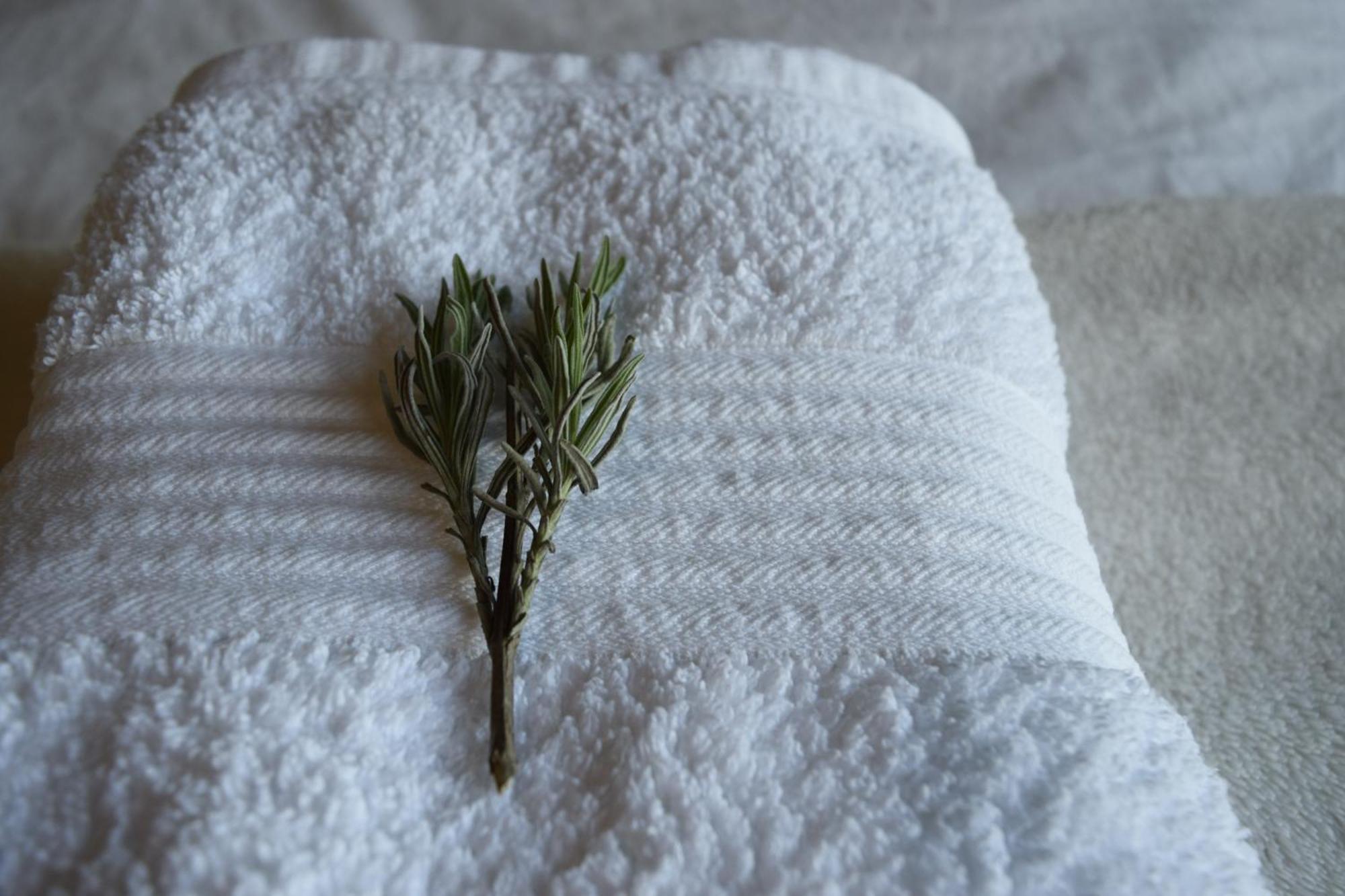 Bed and Breakfast Cedarblue Dungarvan  Esterno foto